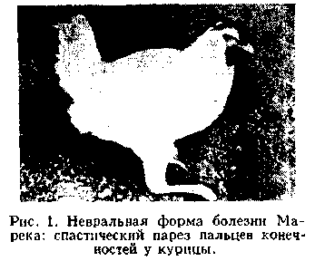 Сколько болеют гриппом 2016