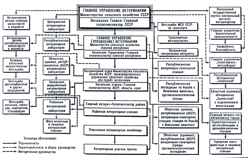 Схема организации государственной и ведомственной ветеринарной службы в СССР.