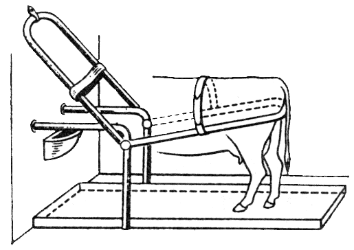 Рис. 1. Станок для фиксации коровы во время осеменения.